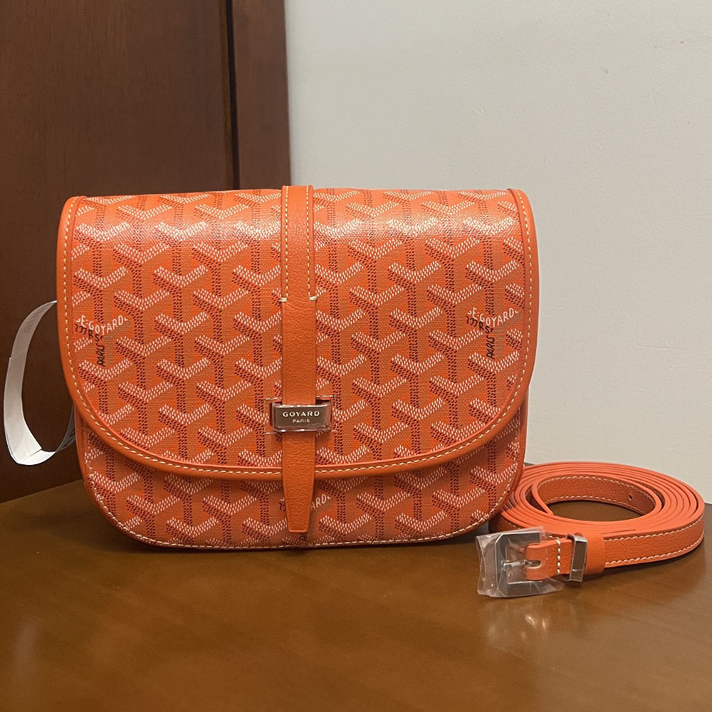 고야드 벨베데르 크로스백